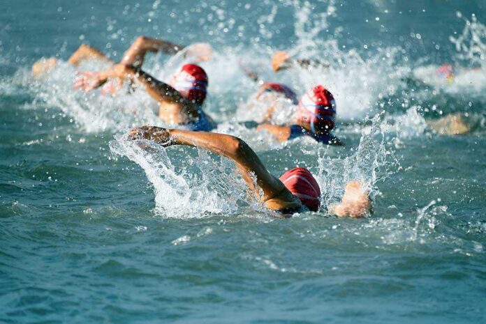 479061520 featured image Group of swimmers racing in open water.