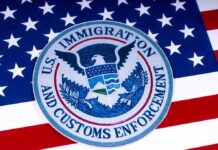 US Immigration and Customs Enforcement emblem on flag