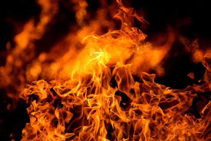 1937088 featured image Bright orange flames against a dark background.