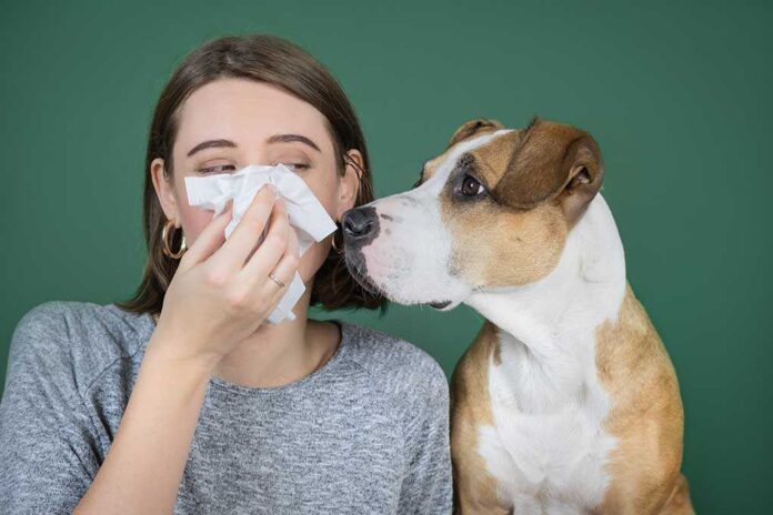 1579239460 featured image Person sneezing with curious dog watching attentively