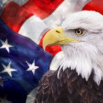 Bald eagle with an American flag background