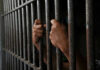 Hands gripping jail cell bars