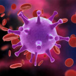 Virus surrounded by red blood cells