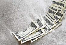 Hundred dollar bills partially buried in white sugar