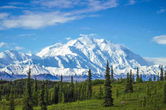 Snow covered mountain under blue sky with green foreground