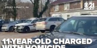 'Daddy's dead': PA boy had Nintendo Switch taken away