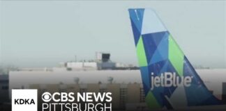 ALL Flights GROUNDED - Entire System Hacked