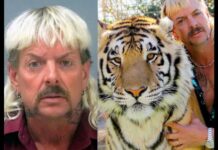 Supreme Court Announces Decision in Tiger King's Case