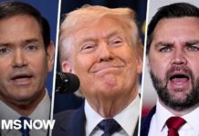 Trumps 2028 Succession Plot LEAKED — Heir CHOSEN Trumps 2028 Succession Plot LEAKED — Heir CHOSEN