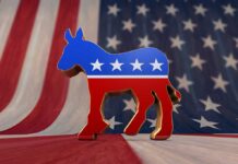 A donkey symbol representing the Democratic Party in front of an American flag background