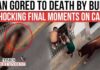 Bull Run Festival Turns DEADLY