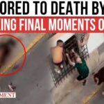 Bull Run Festival Turns DEADLY