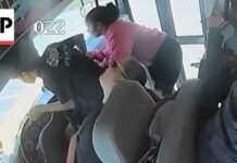 School Bus Driver Blacks Out — What Happened Next Defies Belief