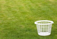 An empty white laundry basket placed on green grass