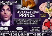 Counterfeit Pills at Prince’s Home SHOCK Investigators The Prince of Purple: Prince and the Lethal Fentanyl Script 4