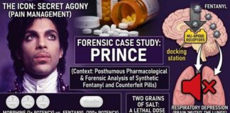 The Prince of Purple: Prince and the Lethal Fentanyl Script 4