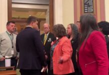 Minnesota's DFL lawmakers stage sit-in after gun violence prevention bill fails in house vote