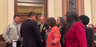 Minnesota's DFL lawmakers stage sit-in after gun violence prevention bill fails in house vote