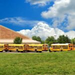 Non-Verbal Bus Driver KILLS Five – Who Let Him Drive? A row of yellow school buses parked in front of a school building under a cloudy sky