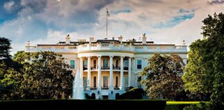 The White House surrounded by greenery and a fountain in the foreground