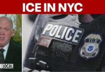 Homan says ICE to ramp up NYC operations: 'I plan on being in New York City in the near future'