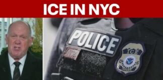 Homan says ICE to ramp up NYC operations: 'I plan on being in New York City in the near future'
