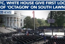 UFC, White House give first look of the 'octagon' on the South Lawn