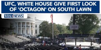 UFC, White House give first look of the 'octagon' on the South Lawn