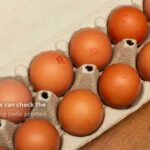 Urgent Egg Recall – 19 Million PULLED! 1.6 million eggs recalled after potential salmonella contamination