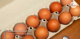 Urgent Egg Recall – 19 Million PULLED! 1.6 million eggs recalled after potential salmonella contamination