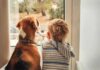 A child and a dog sitting together by a window, looking outside