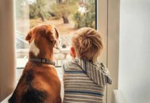 A child and a dog sitting together by a window, looking outside