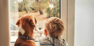 A child and a dog sitting together by a window, looking outside