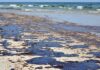 Mystery Orbs Found Scattered Across Beach Oil spill on a sandy beach with waves in the background