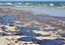Mystery Orbs Found Scattered Across Beach Oil spill on a sandy beach with waves in the background