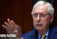 McConnell Breaks Silence After Being Missing For Months McConnell’s Senate absence is ‘prime example’ of why Congress needs term limits: Marine Corps Vet