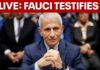 Dr. Anthony Fauci testifies on Capitol Hill
