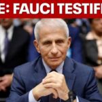 Dr. Anthony Fauci testifies on Capitol Hill