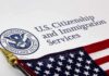 28 ILLEGAL MIGRANTS BAIL OUT OF VAN AFTER CRASH U.S. Citizenship and Immigration Services document with American flag