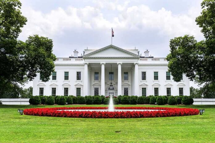 The White House with fountain and red flower bed