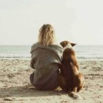 Person and dog sitting on a beach facing the sea