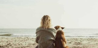 Person and dog sitting on a beach facing the sea