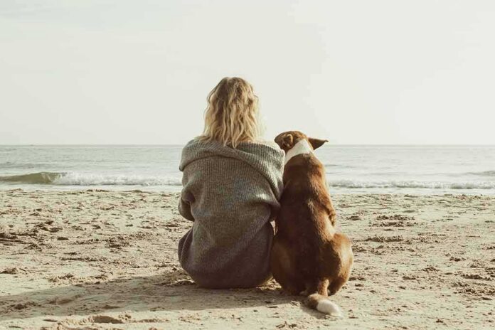 shutterstock_1580727697 Person and dog sitting on a beach facing the sea