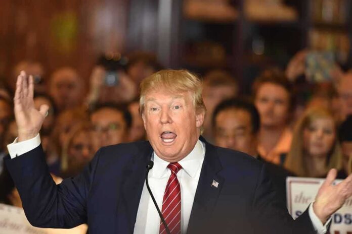 shutterstock_312956195 Donald Trump speaking to a crowd with hands raised
