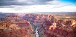 Grand Canyon Deluge Triggers Emergency Chaos Grand Canyon with river winding through layered red cliffs