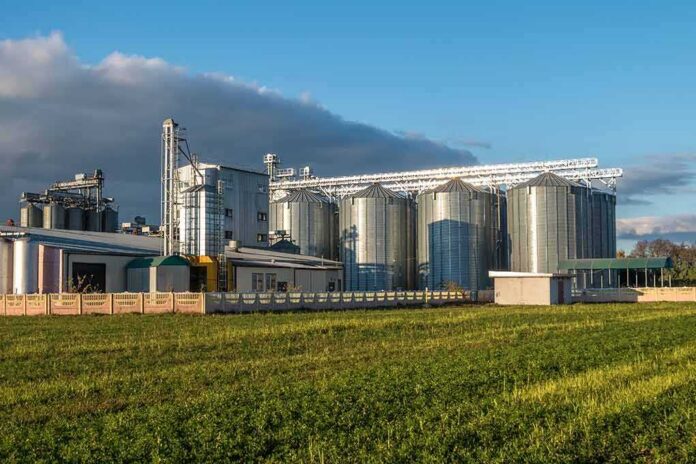 shutterstock_1240557232 grain silos at an agricultural facility